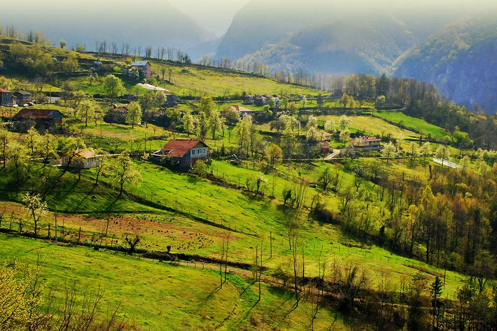 Servetiye Cami ve Köyü