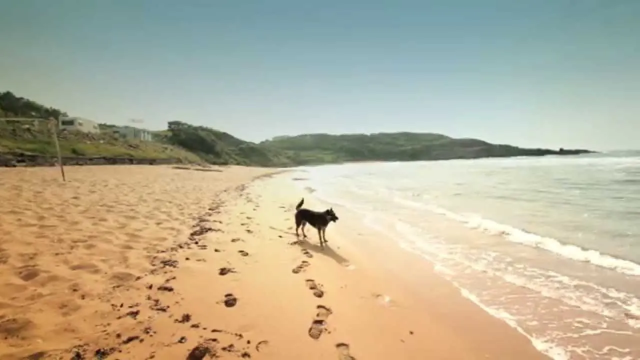 Elmasburnu Tabiat Parkı