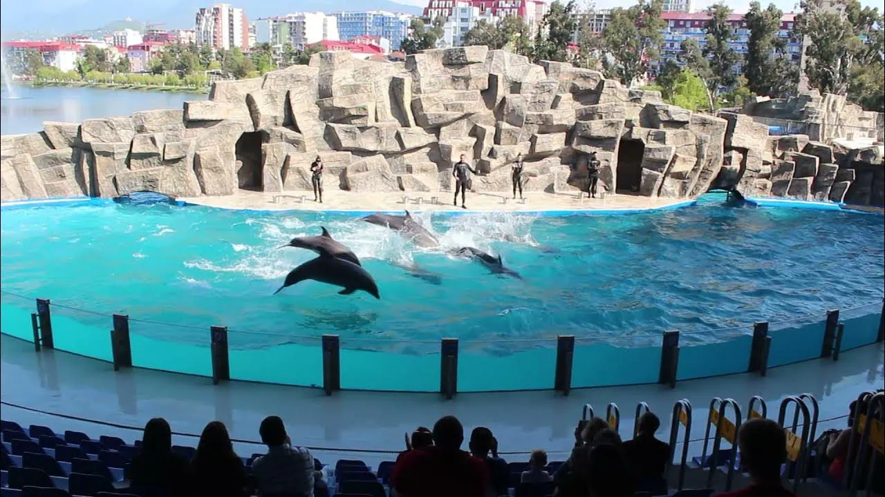Batum Dolphinarium