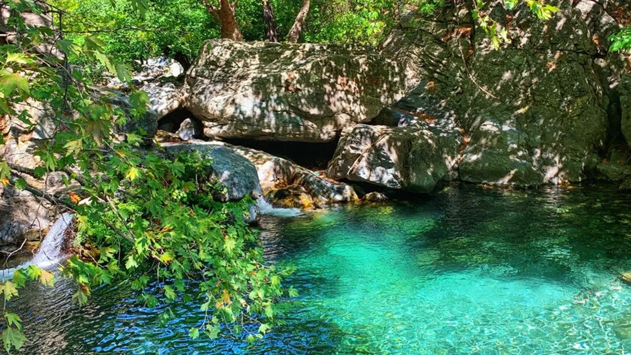 Kazdağı Milli Parkı