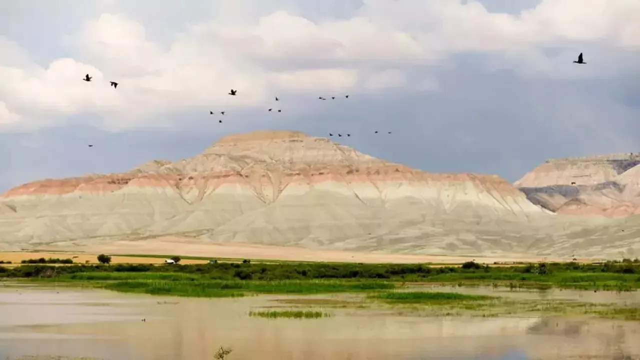 Nallıhan Kuş Cenneti