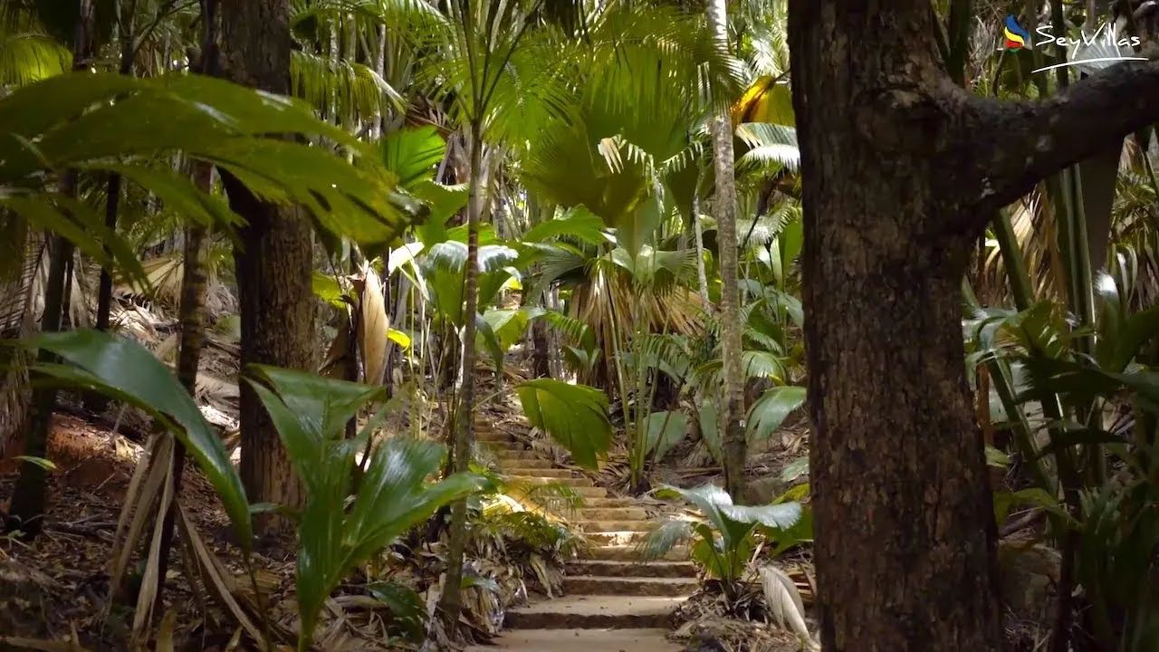 Vall&eacute;e de Mai