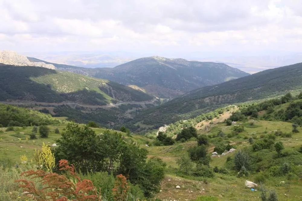 Şekerpınarı Yaylası