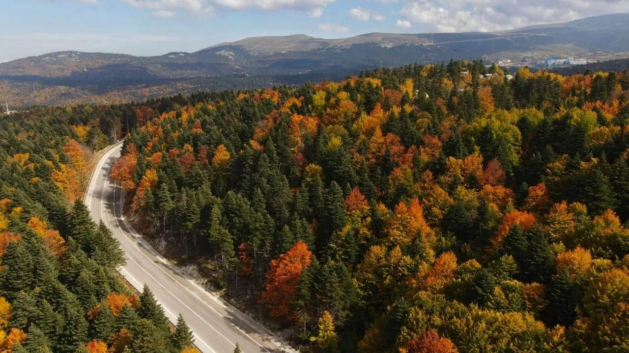 Yeşil Bursa'nın Gizli Doğası