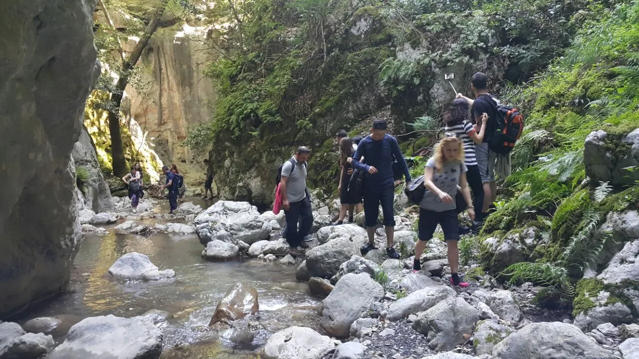 Nazarköy doğa yürüyüşü