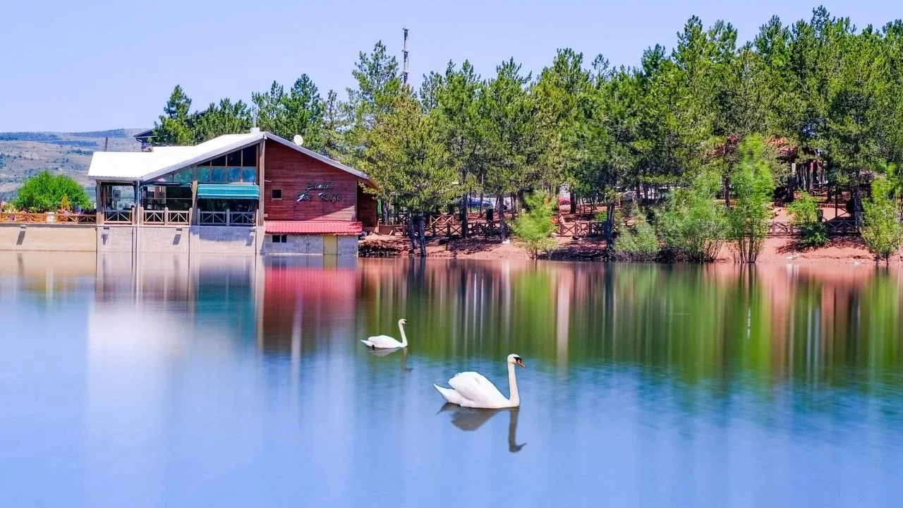 yozgat çamlığı milli parkı