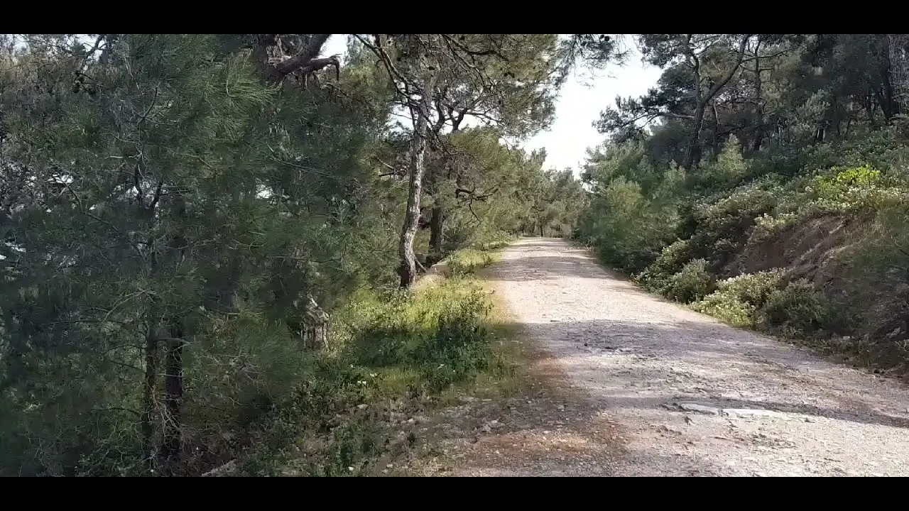 Ayvalık Adaları Tabiat Parkı