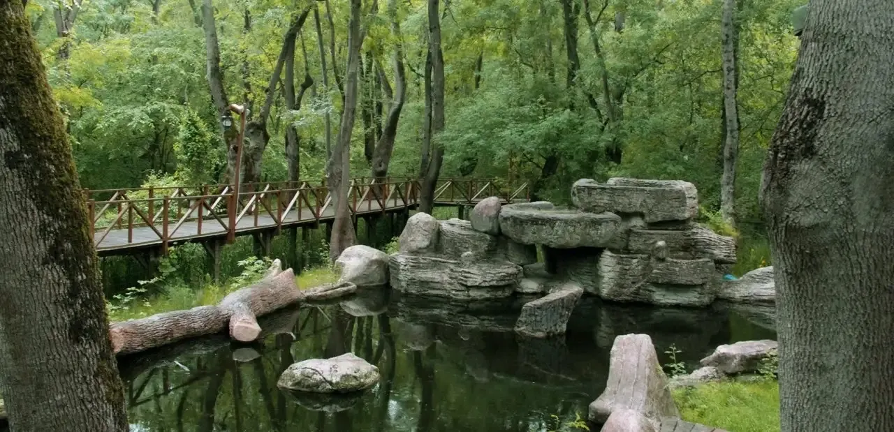 &Ccedil;akırlar Korusu