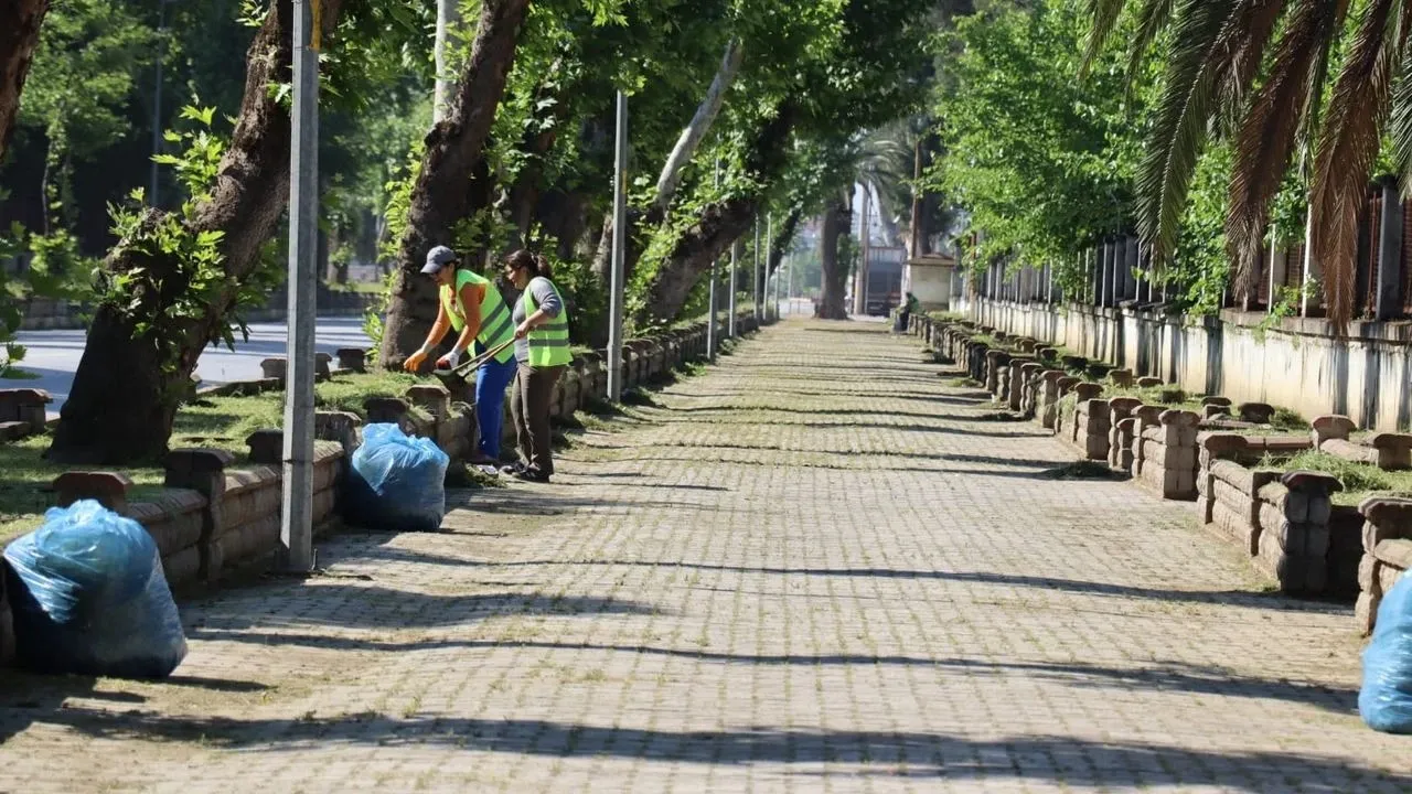 Nazilli Kent Ormanı
