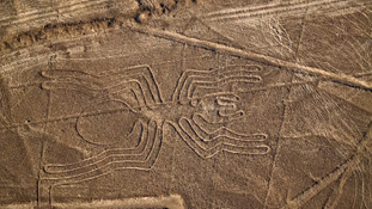 Nazca &Ccedil;izgileri