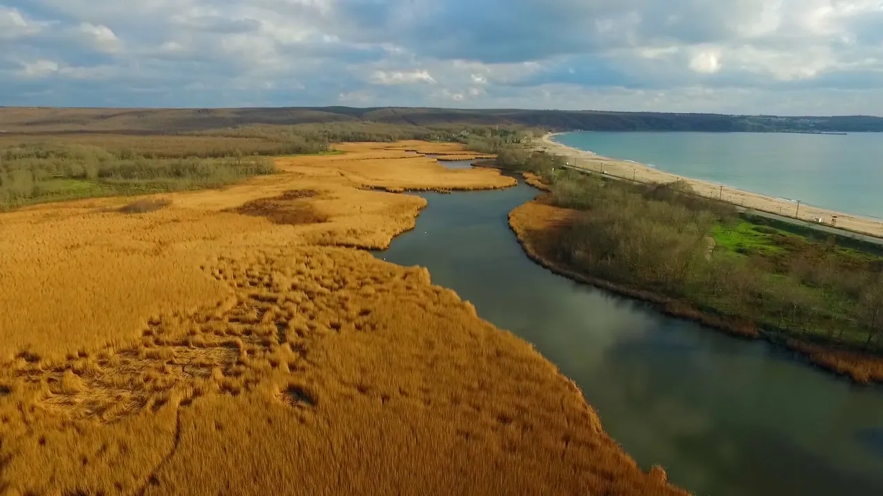 İğneada Longoz Ormanları