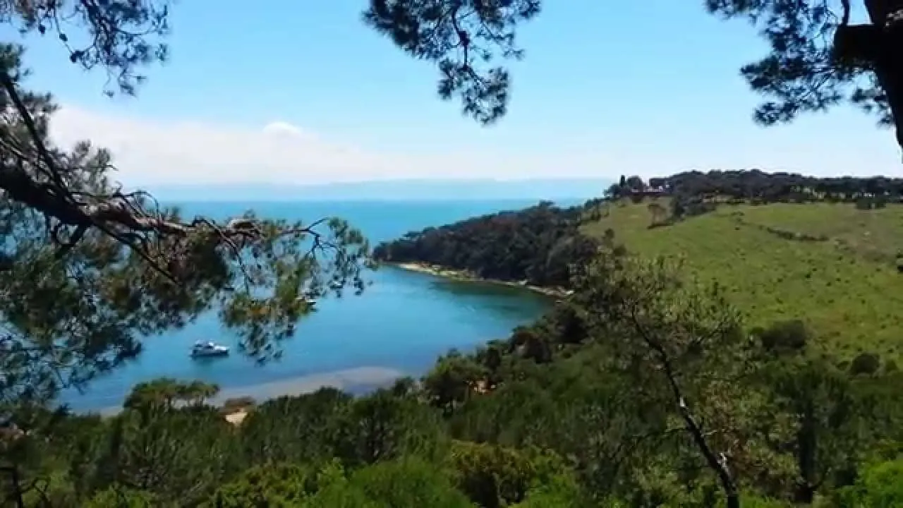 Heybeliada Plajları