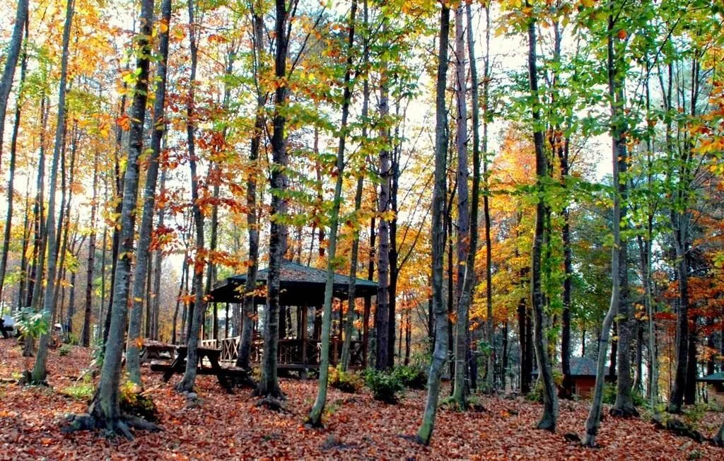 Asarkaya Milli Parkı