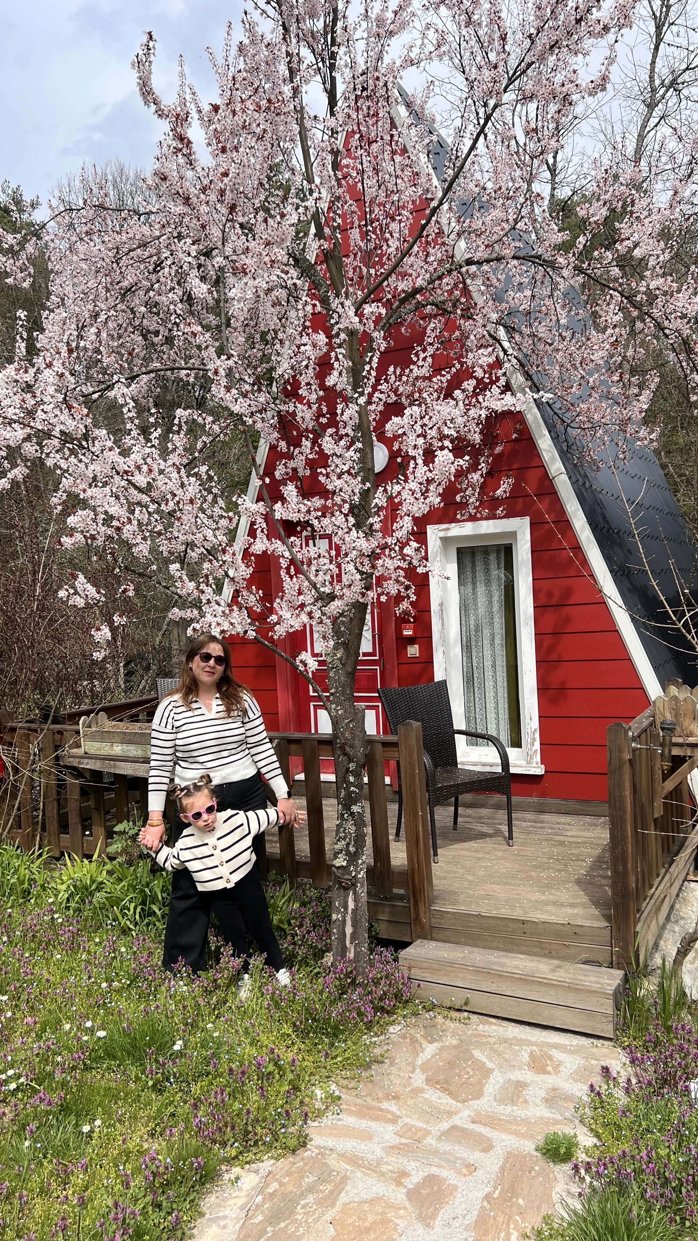 bolu uygun bungalov